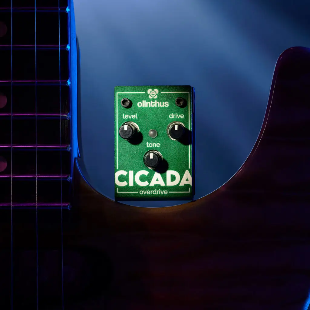 Olinthus Cicada - The World's Smallest Overdrive Pedal!