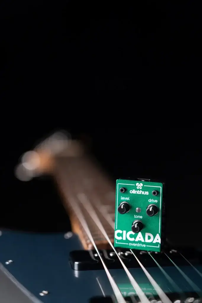 cicada_onguitar2.webp