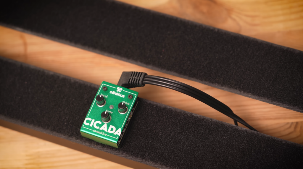 Cicada overdrive on pedalboard