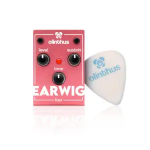 Olinthus Earwig Fuzz - world's smallest fuzz pedal