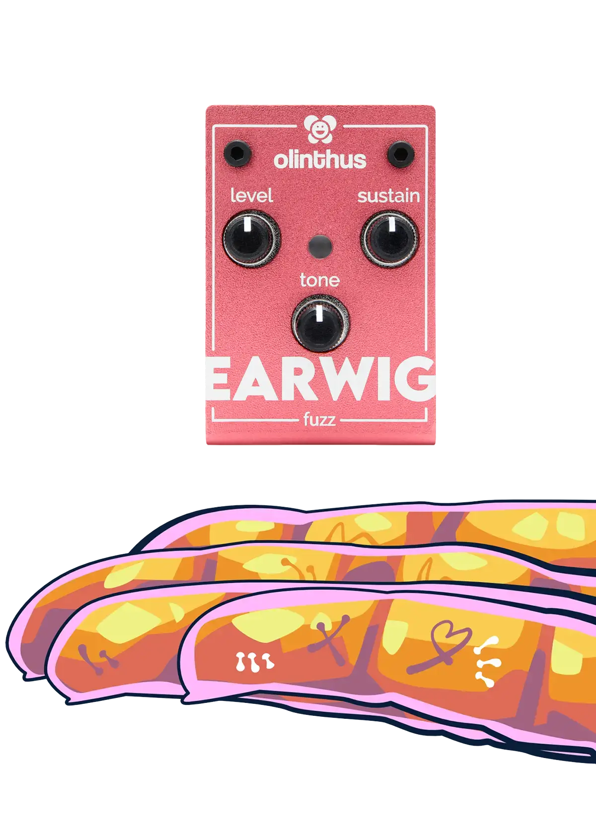 Olinthus Earwig Fuzz - Smallest Fuzz Pedal