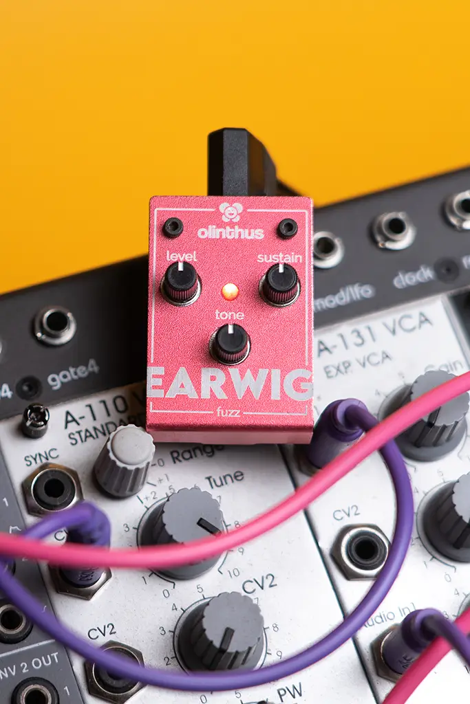 World's Smallest Effects Pedal! – Earwig Fuzz - Olinthus