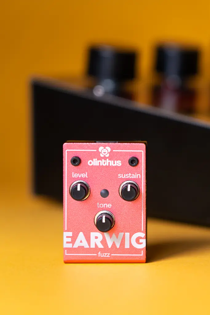 Earwig Fuzz, a lot smaller than your typical effects pedal